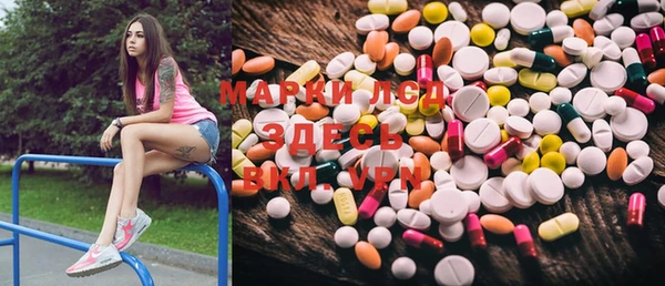 прущая мука Корсаков