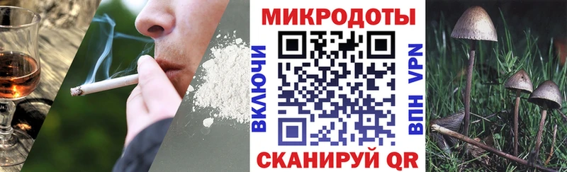 Галлюциногенные грибы Cubensis  Купить  Ангарск 